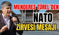 AKP’li Menderes Türel'den NATO Zirvesi mesajı