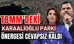 TBMM'deki Karaalioğlu Parkı önergesi cevapsız kaldı