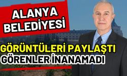 Alanya Belediyesi görüntüleri paylaştı görenler inanamadı