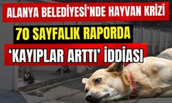 Alanya Belediyesi’nde hayvan krizi! 70 sayfalık raporda ‘Kayıplar arttı’ iddiası