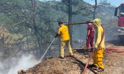 Alanya'daki orman yangını 3 saatte kontrol altına alındı