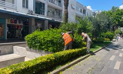 Antalya Büyükşehir Belediyesi’nden cadde çalışması