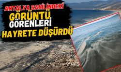 Antalya sahilindeki görüntü görenleri hayrete düşürdü