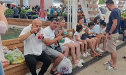 Antalya zirveden gelen karlarla serinliyor