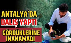 Antalya’da dalış yaptı gördüklerine inanamadı