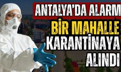 Antalya’da şap alarmı! Bir mahalle karantinaya alındı