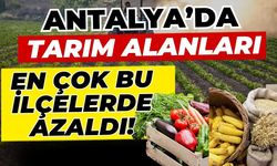 Antalya’da tarım alanları en çok bu ilçelerde azaldı!