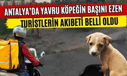Antalya’da yavru köpeğin başını ezen turistlerin akıbeti belli oldu