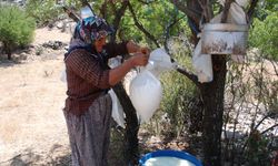 Antalya'da yörüklerin asırlık geleneği tat veriyor