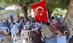 Antalya’da zeytinlikler kıskaç altında! Bölge sakinleri karara isyan etti