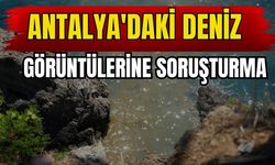 Antalya'daki deniz görüntülerine soruşturma