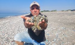 Antalya’dan sonra Mersin’deki sahillerde kirlendi
