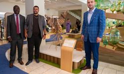 Antalya’nın atıkları sanat eserine dönüştü