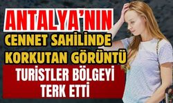 Antalya’nın cennet sahilinde korkutan görüntü! Turistler bölgeyi terk etti