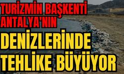 Turizmin başkenti Antalya'nın denizlerinde tehlike büyüyor