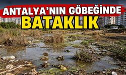 Antalya’nın göbeğinde bataklık
