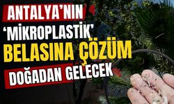Antalya’nın ‘Mikroplastik’ belasına çözüm doğadan gelecek