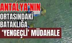 Antalya’nın ortasındaki bataklığa ‘Yengeçli’ müdahale