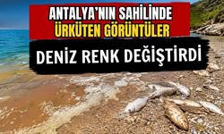 Antalya’nın sahilinde ürküten görüntüler! Deniz renk değiştirdi