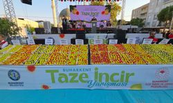 Aydın’da Taze İncir Festivali başladı