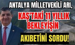 Antalya Milletvekili Arı, Kaş'taki 11 yıllık bekleyişin akıbetini sordu!