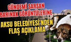 Gündemi sarsan barınak görüntülerine Aksu Belediyesi'nden flaş açıklama