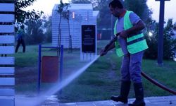 Manavgat Belediyesi sahil temizliği için düğmeye bastı