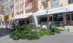Manavgat’ta fırtınanın devirdiği ağaç yolu trafiğe kapattı