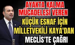Ayakta kalma mücadelesi veren küçük esnaf için Milletvekili Kaya'dan Meclis'te çağrı
