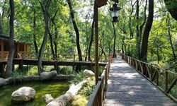 KONAKLAMASIZ ORMAN PARKI KİRAYA  VERİLECEK
