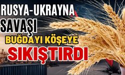 Rusya-Ukrayna savaşı buğdayı köşeye sıkıştırdı
