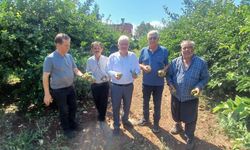 Adana’da yaklaşık 35 bin dönüm tarım alanı zarar gördü