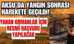 Aksu’da yangın sonrası harekete geçildi! Yanan ormanlar için resmi başvuru yapılacak