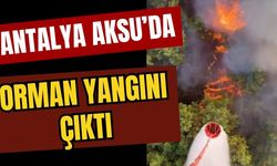 Antalya Aksu’da orman yangını çıktı