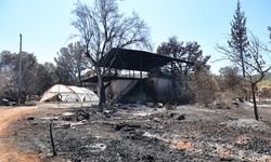 Antalya Büyükşehir Belediyesi yangınzedeleri yalnız bıraktı