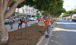 Antalya Büyükşehir Belediyesi’nden estetik çalışma
