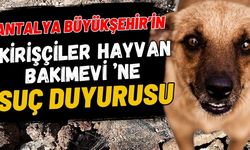 Antalya Büyükşehir’in Kirişçiler Hayvan Bakımevi ’ne suç duyurusu