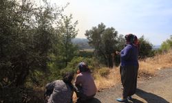 Antalya’da alev nöbeti! Aksu’da 21 saatlik mücadele