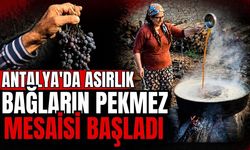Antalya’da asırlık bağların pekmez mesaisi başladı