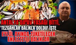 Antalya’da av yasağı bitti, tezgahlar balıkla doldu! İşte Eylül ayında tüketilecek en lezzetli balıklar