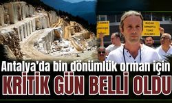 Antalya’da bin dönümlük orman için kritik gün belli oldu