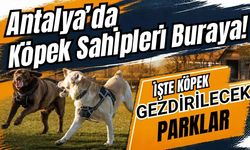 Antalya’da köpek sahipleri buraya! İşte köpek gezdirilecek parklar