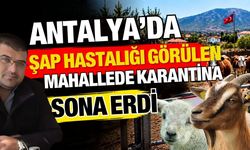 Antalya’da ŞAP hastalığı görülen mahallede karantina sona erdi