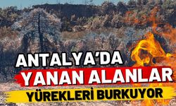 Antalya’da yanan alanlar yürekleri burkuyor