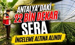 Antalya’daki 22 bin dekar sera inceleme altına alındı