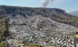 Antalya’daki yangında enerji düşürüldü! Soğutma çalışmaları sürüyor