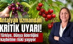 Antalyalı uzmandan kritik uyarı! Türkiye, Dünya liderliğini kaybetme riski yaşıyor