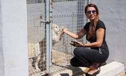 Antalya’nın bakımevi büyüdü! Kirişçilerde dev kapasite