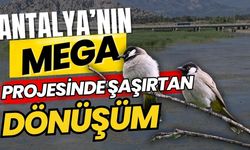 Antalya’nın mega projesinde şaşırtan dönüşüm