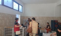Aydın incirine sıkı denetim! Gözeler hijyen ve kalite kriterlerinde
